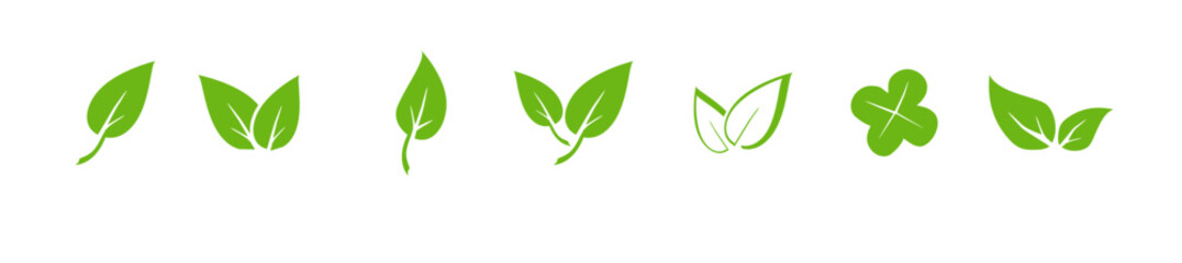 Green leaf icons set. Elements design for natural, eco, vegan. Leaves icon on isolated background. Collection green leaf. Vector