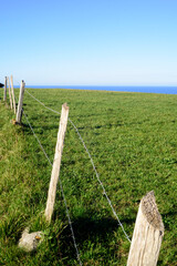 Valla de alambres y piquetes de madera en pradera de hierba verde junto al horizonte marino en...