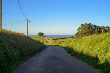 Camino rural entre praderas de hierba junto al mar en Asturias