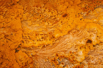 Abstract of an algae mat in an hot spring