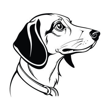 recommend clip art: Dachshund dog face silhouette vector illustration design isolated on white background
