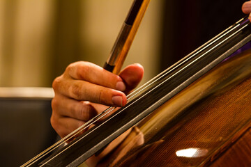 The Cello Player © Ton van der Velden