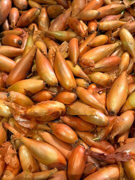 Onions banana shallots echalion bulbs.