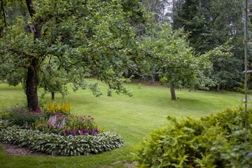 Obraz premium Beautiful garden scene with flowering plants and a lush green lawn.