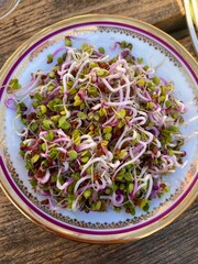 Pink Radish seed sprouted in a golden plate.
