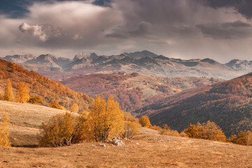 Stunning vista of rolling hills and colorful foliage in Durmitor national park, Montenegro, during a breathtaking autumn day