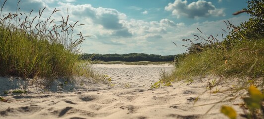 Sandy pathway leading to a tranquil beach under a cloudy sky