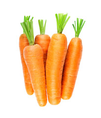 Carrot isolated on transparent background. PNG format. Top view