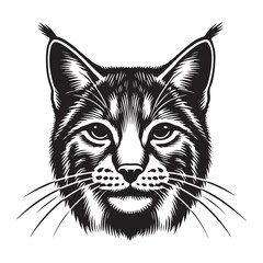Lynx Face Vector Illustration