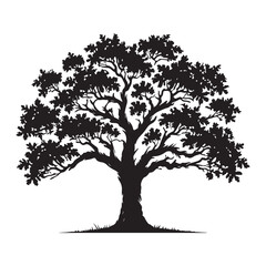 Majestic Oak Tree Silhouette Illustration Vector Graphic