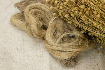 Flax plant pods, linen canvas, and flax fiber. Sustainable alternative to synthetic fibers. Copy...
