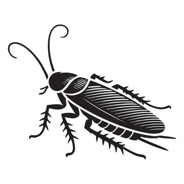 black cockroach insect graphic clip art preview