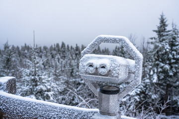 A snowy binocular view under a grey sky surrounded by a peaceful pine forest conveys cool winter stillness