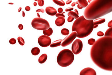 blood cells isolated on white
