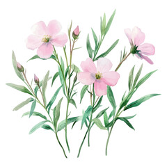 Delicate Watercolor Illustration of Pink Wildflowers with Green Leaves