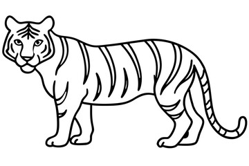 Tiger in One Stroke – Vector Art