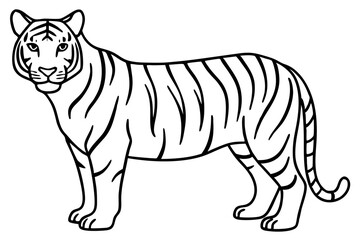 Tiger in One Stroke – Vector Art