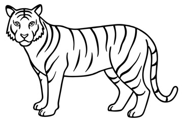 Tiger in One Stroke – Vector Art
