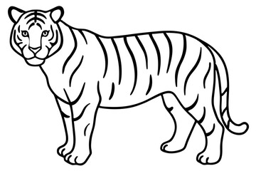 Tiger in One Stroke – Vector Art