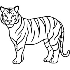 Tiger in One Stroke – Vector Art