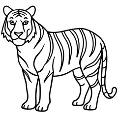 Tiger in One Stroke – Vector Art