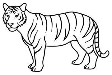 Tiger in One Stroke – Vector Art