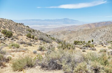 Joshua Tree National Park's panoramic Keys View