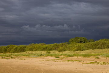 Dramatic landscape with a sandy foreground and a line of trees against a stormy sky.