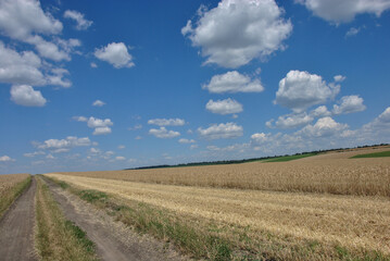 country road in the field. beautiful agricultural landscape. field road and blue sky with clouds