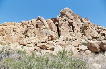Joshua Tree National Park's scenic Mastodon Peak Trail