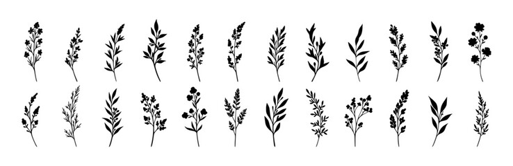 Botanical Floral Silhouette Vector Set - Elegant Leaves & Flowers Illustration For Logos, Decorative Patterns, Or Design Elements.