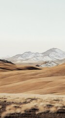 Fototapeta premium A panoramic view of the barren and desolate Nevada desert 