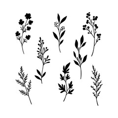 Botanical Floral Silhouette Vector Set - Elegant Leaves & Flowers Illustration For Logos, Decorative Patterns, Or Design Elements.