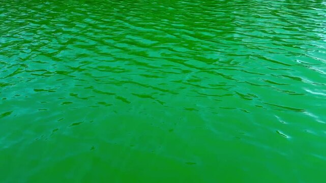 A frame-filling view of Lake Havasu and Colorado River's emerald-green waters showcases nature's vibrant palette in Arizona's aquatic jewel.