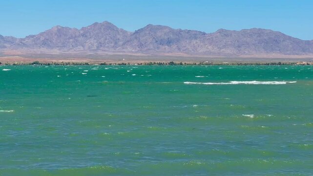 Powerful wind gusts whip Lake Havasu's surface, generating choppy waves and foamy white caps, showcasing nature's raw energy in this popular Arizona waterway.
