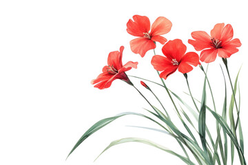 Obraz premium Red spring flower illustration 