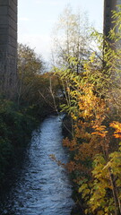 railway bridge over the lake in the city park among the wealth of autumn colors of nature