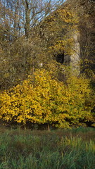 Railway bridge in the middle of the park in the city and the richness of colors in autumn