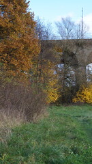 Railway bridge in the middle of the park in the city in autumn