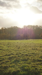 sunlight still breaks through the clouds before the autumn heavy rain