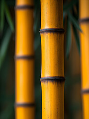 Golden bamboo stalks close-up, lush green background, nature serenity, spa decor