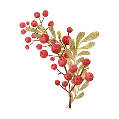 Composition with a holly berries and branches of golden plants highlighted on a white background.