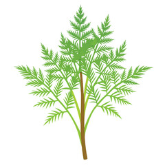 A stylized illustration of green fern leaves against a white background.