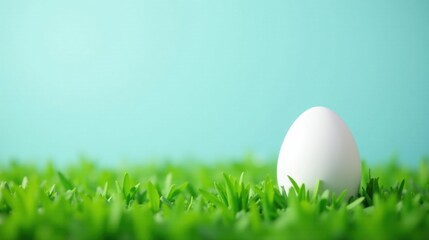 Fototapeta premium A single white egg nestled in vibrant green grass against a serene aqua backdrop