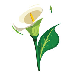A stylized illustration of a calla lily flower with green leaves.