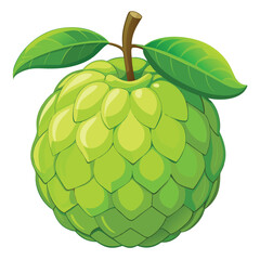 A stylized illustration of a green fruit with leaves and a stem.