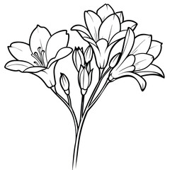 A line art illustration of various flowers, ideal for coloring or artistic projects.