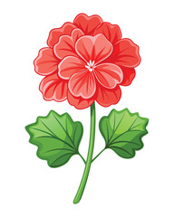 A vibrant red flower illustration with layered petals and green leaves.