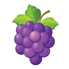 A colorful illustration of grapes with green leaves, emphasizing freshness and nature.