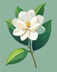 A stylized illustration of a magnolia flower with green leaves on a soft background.